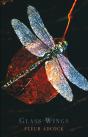 Glass Wings - Preview