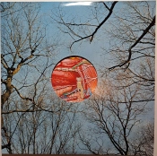 Capa do artigo Glean - Vinil