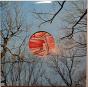 Glean - Vinil - Preview