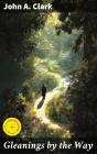 Gleanings By The Way - Preview