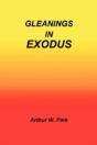 Gleanings In Exodus - Preview
