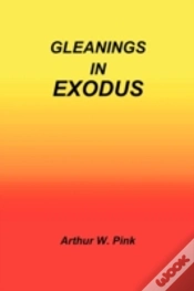 Capa do artigo Gleanings In Exodus