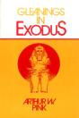 Gleanings In Exodus - Preview