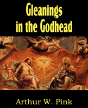 Gleanings In The Godhead - Preview
