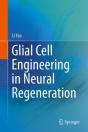 Glial Cell Engineering In Neural Regeneration - Preview