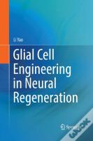 Glial Cell Engineering In Neural Regeneration