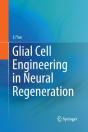 Glial Cell Engineering In Neural Regeneration - Preview