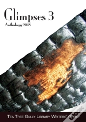 Capa do artigo Glimpses 3