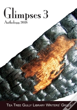 Capa do artigo Glimpses 3