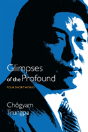 Glimpses Of The Profound - Preview