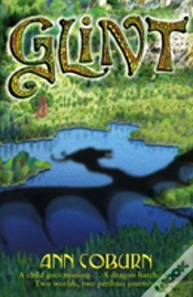 Capa do artigo Glint