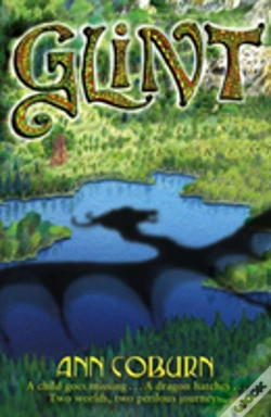 Capa do artigo Glint