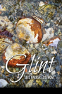 Glint - Preview