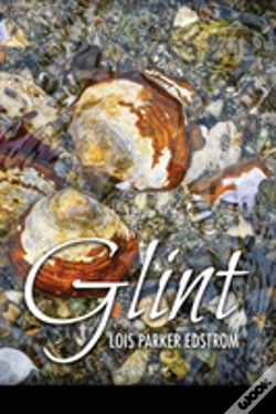 Capa do artigo Glint