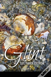 Capa do artigo Glint