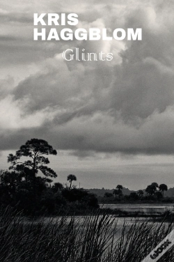 Capa do artigo Glints