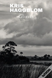 Capa do artigo Glints