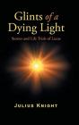 Glints Of A Dying Light - Preview