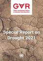 Global Assessment Report On Disaster Ris - Preview