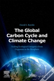 Capa do artigo Global Carbon Cycle And Climate Change