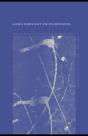 Global Democracy And Its Difficulties - Preview