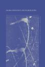 Global Democracy And Its Difficulties - Preview