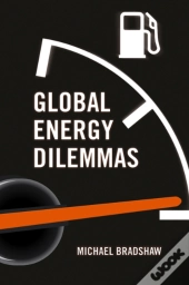 Global Energy Dilemmas