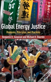 Capa do artigo Global Energy Justice