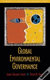 Capa do artigo Global Environmental Governance