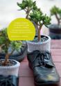 Global Forest Governance And Climate Change - Preview