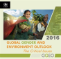 Global Gender And Environment Outlook 2016: The Critical Issues - Preview
