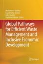 Global Pathways For Efficient Waste Management And Inclusive Economic Development - Preview