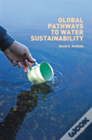 Global Pathways To Water Sustainability