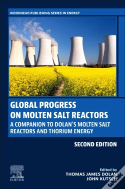 Capa do artigo Global Progress On Molten Salt Reactors