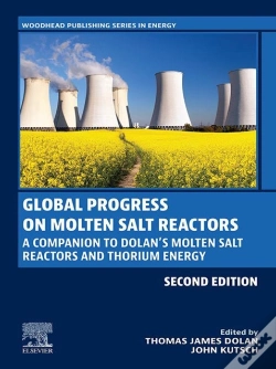 Capa do artigo Global Progress On Molten Salt Reactors