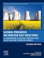 Global Progress On Molten Salt Reactors - Preview