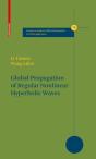 Global Propagation Of Regular Nonlinear Hyperbolic Waves - Preview