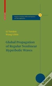 Capa do artigo Global Propagation Of Regular Nonlinear Hyperbolic Waves