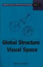 Global Structure Of Visual Space, The - Preview