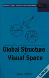 Global Structure Of Visual Space, The