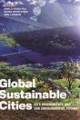 Global Sustainable Cities - Preview