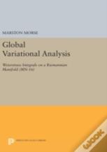 Global Variational Analysis