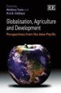 Globalisation, Agriculture And Development - Preview