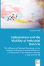 Globalisation And The Viability Of Industrial Districts - Preview