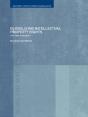 Globalising Intellectual Property Rights - Preview