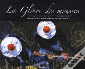 Capa do artigo Gloire Des Mousses