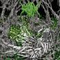 Gloomlord - CD - Preview