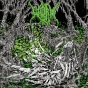 Capa do artigo Gloomlord - CD