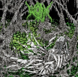Capa do artigo Gloomlord - CD