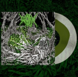 Capa do artigo Gloomlord - Vinil